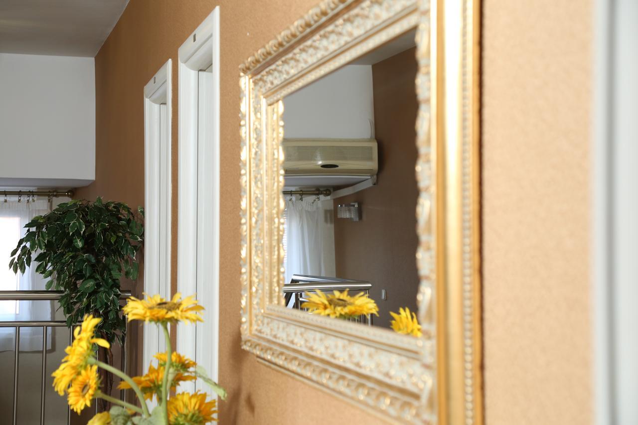 B&B Vila Bela Ruza Sremska Mitrovica Luaran gambar